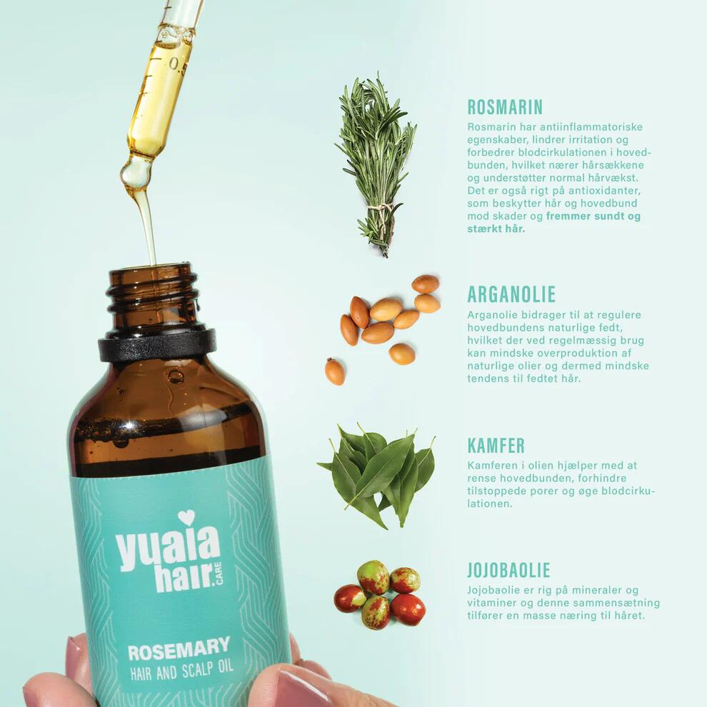 Rosmarinolie til hår og hovedbund - 50 ml